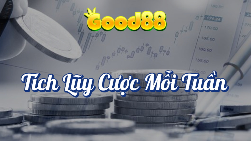 Tích lũy cược mỗi tuần